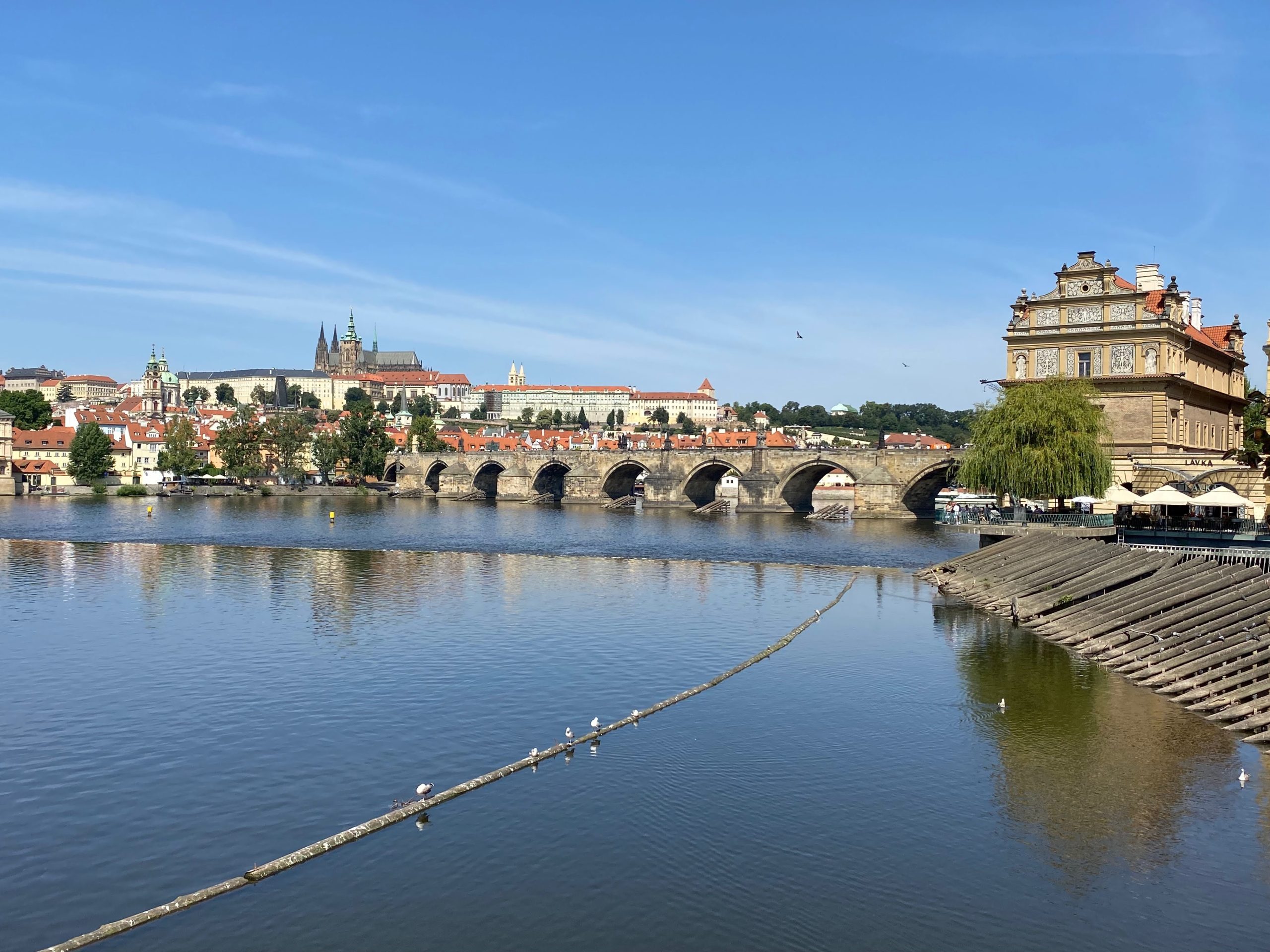 17 Things to Do, What Places to See in Prague in July