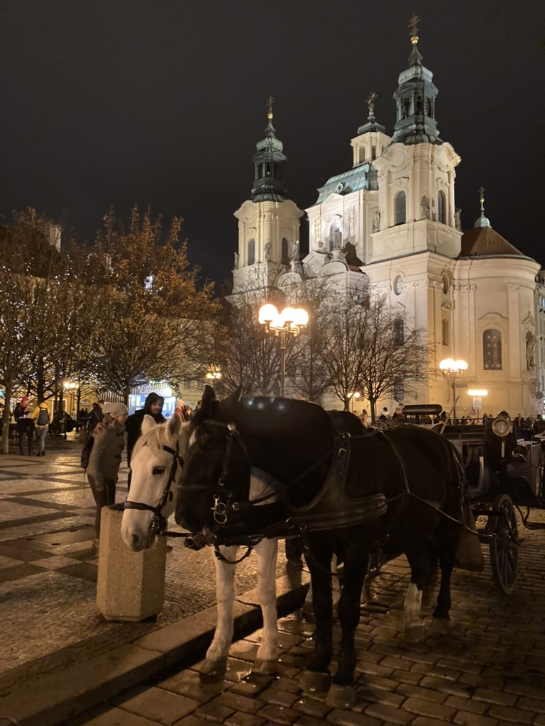 A4D3E9FD D038 421A 87D5 65E7D2C3F395 1 105 c